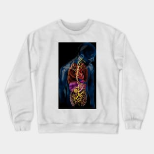 Vagus nerve anatomy, illustration (C037/4895) Crewneck Sweatshirt